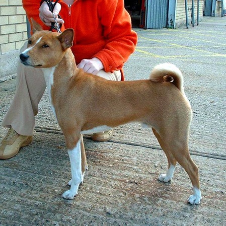 unsere-hundewelt.com